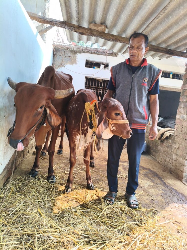 *दूग्ध उत्पादन से स्वर रहा हरिश चन्द्र पैकरा का जीवन, घरेलू अवस्थाओं की पूर्ति में मिला सहयोग*